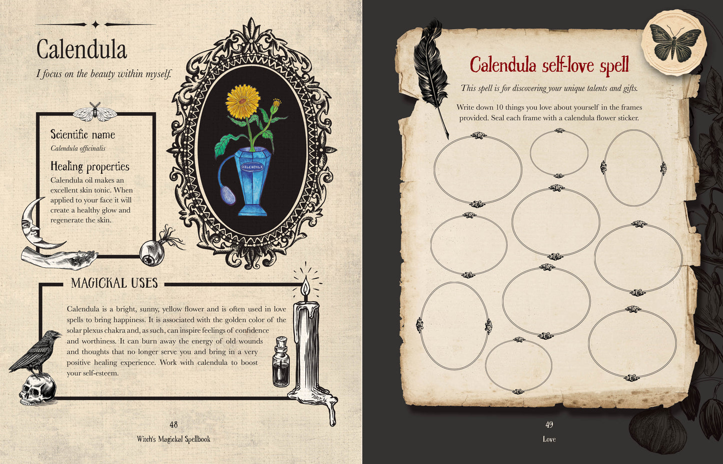 Magical spellbook pages with illustrations and text on a dark background