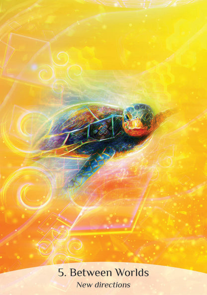 Colorful turtle illustration on a yellow background with text '5. Between Worlds New directions'.