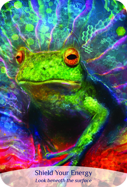 Colorful frog with a psychedelic background and text 'Shield Your Energy' at the bottom.