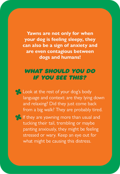 Orange card with green border containing text about dog yawning behavior