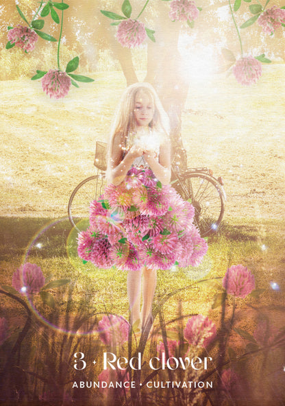 Woman holding a bouquet of pink flowers in a field with 'Red clover' text