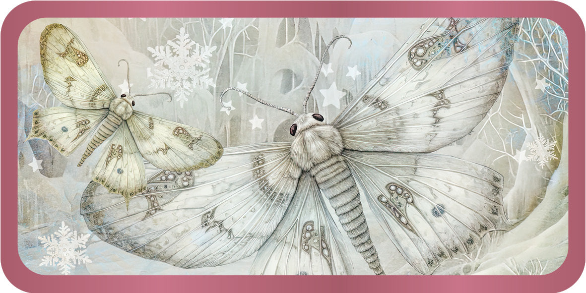Illustration of two butterflies with a pink border