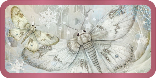 Illustration of two butterflies with a pink border