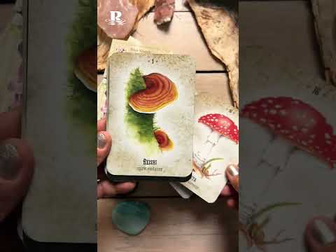 Mushroom Spirit Oracle