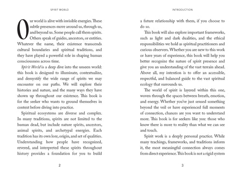 Book pages with text about spirit world and relationships, on a white background.