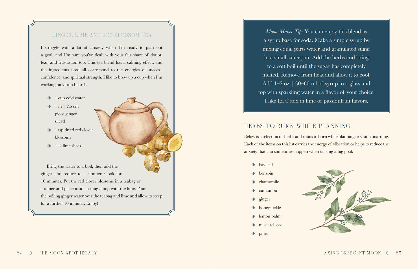 Page from a book with text and illustrations of a teapot and herbs on a white background.