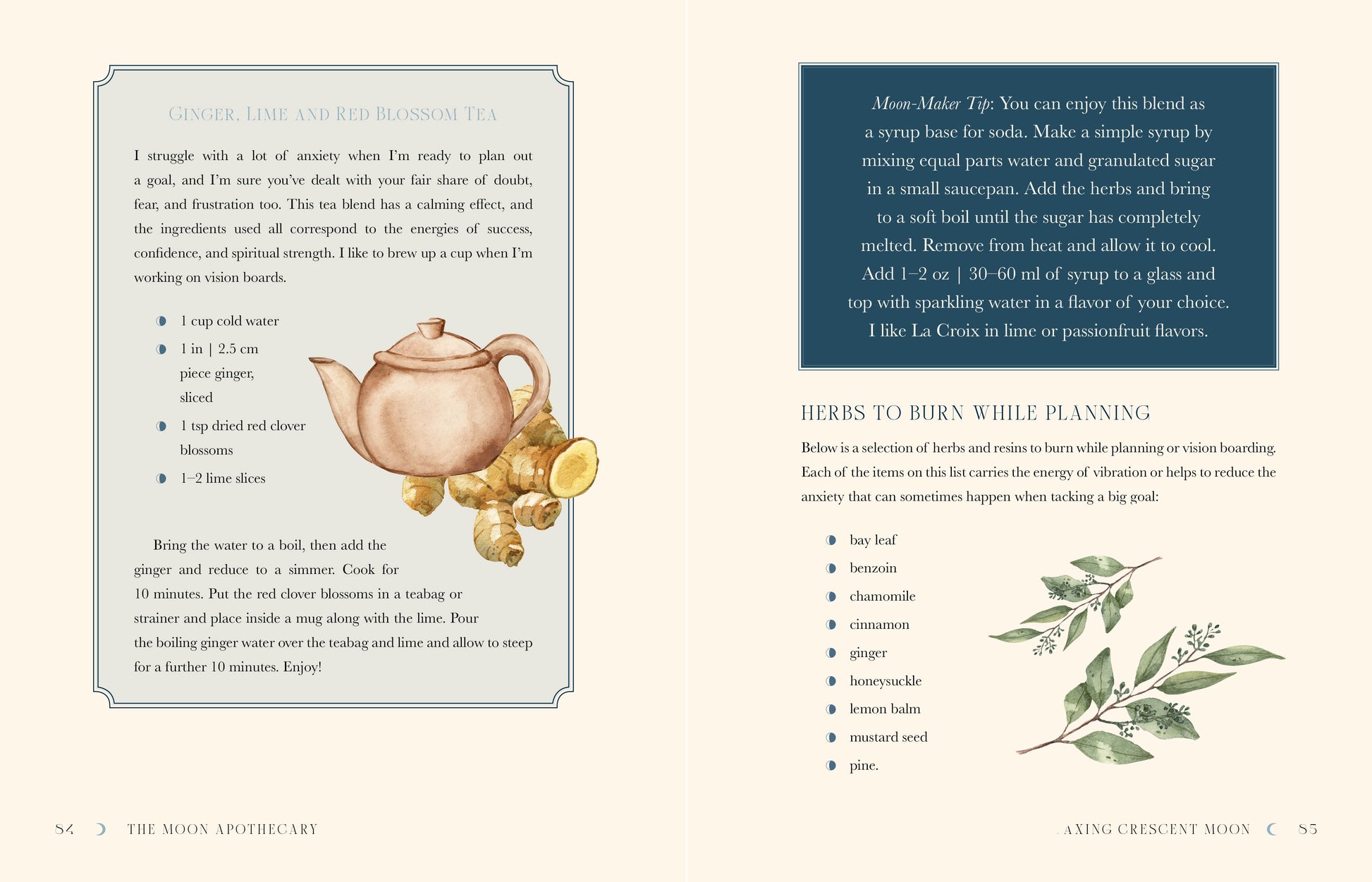 Page from a book with text and illustrations of a teapot and herbs on a white background.