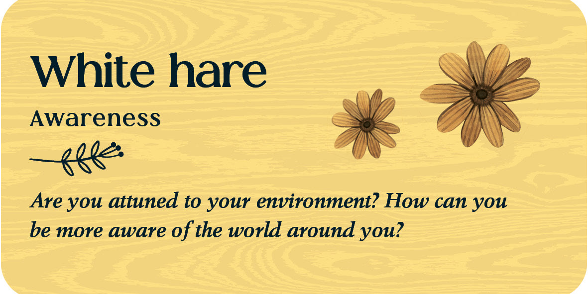 Wooden plaque with text about white hare awareness and floral designs.