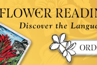 Flower Reading Cards -Review