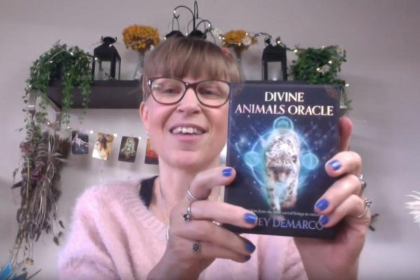 Divine Animals Oracle Walkthrough | Shuffle Tarot