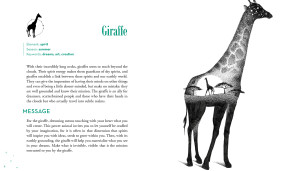 An A-Z of Animal Symbolism