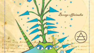 Enchanted Unicorn Oracle