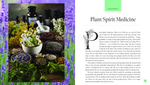 Plant Spirit Medicine