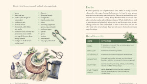 The Witch's Apothecary