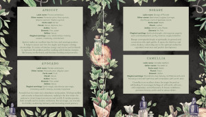 The Witch's Apothecary