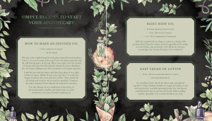 The Witch's Apothecary