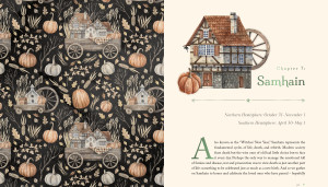 The Witch's Apothecary