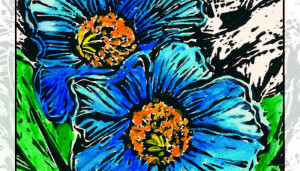 Flower Reading Cards