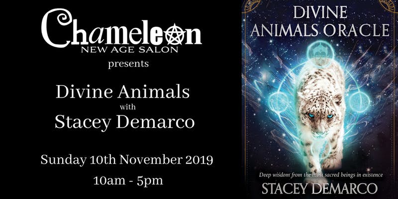 Stacey Demarco at Chameleon, Gold Coast